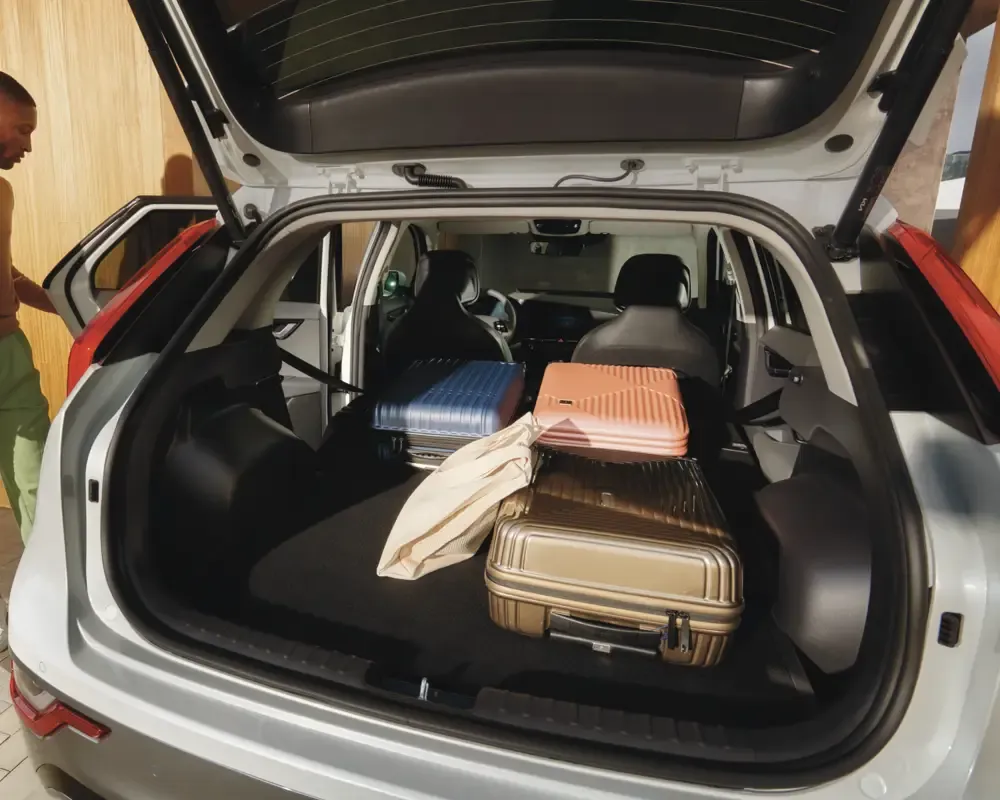 Розумні задні двері