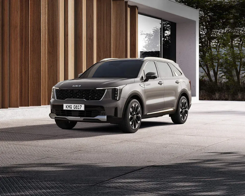 Впевнений екстер’єр