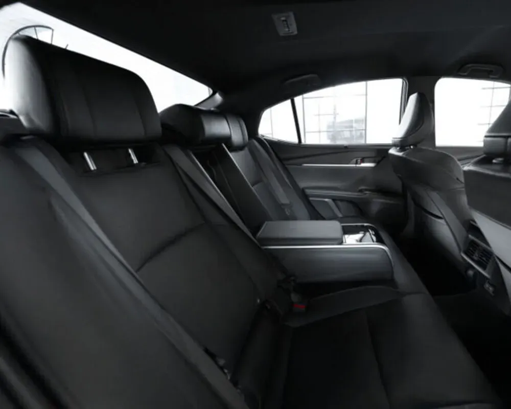 Окрема увага заднім сидінням