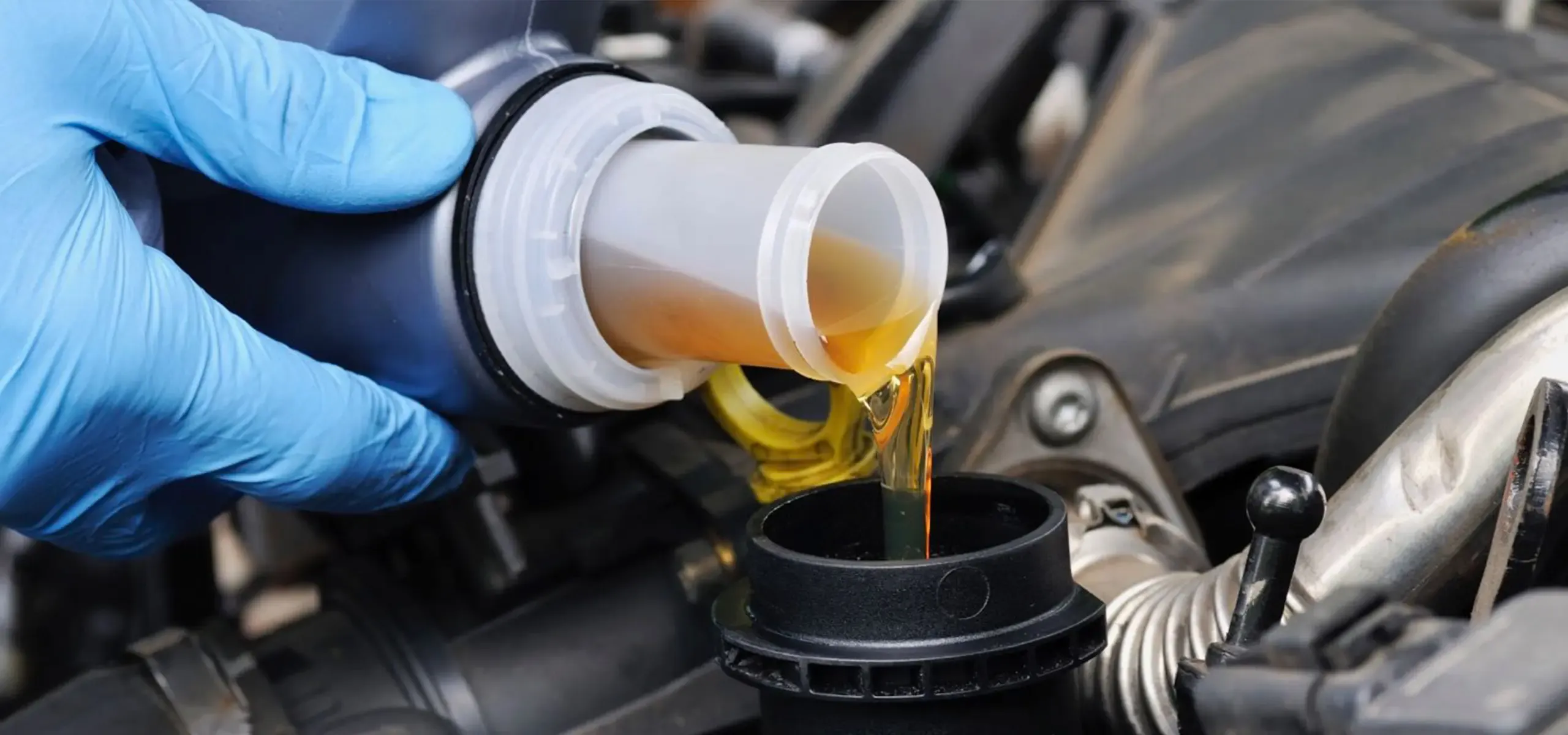 Заміна оливи та рідин Фото 3